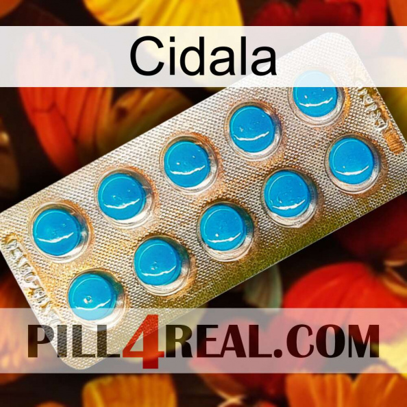 Cidala new09.jpg